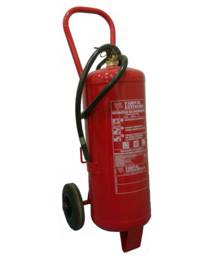 Carro 25 Kg