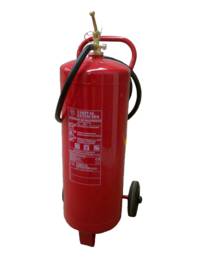 Carro 25 Kg